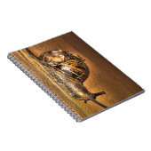Aardgebonden Explorer - Macro van slak op schors Notitieboek (Rechterzijde)