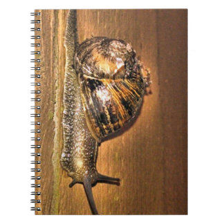 Aardgebonden Explorer - Macro van slak op schors Notitieboek
