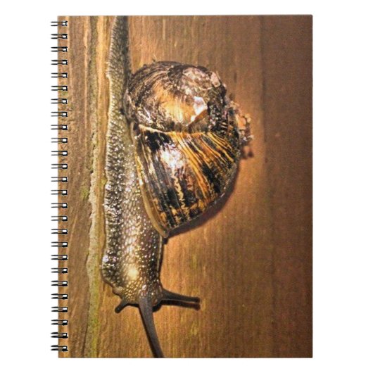 Aardgebonden Explorer - Macro van slak op schors Notitieboek (Voorkant)