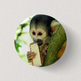 Aardige baby eekhoornaap eet een wafelkoekje ronde button 3,2 cm