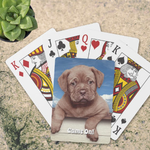 Aardige Bruine Puppie Hond Foto Pokerkaarten