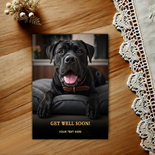 Aardige Cane Corso Beterschap Briefkaart