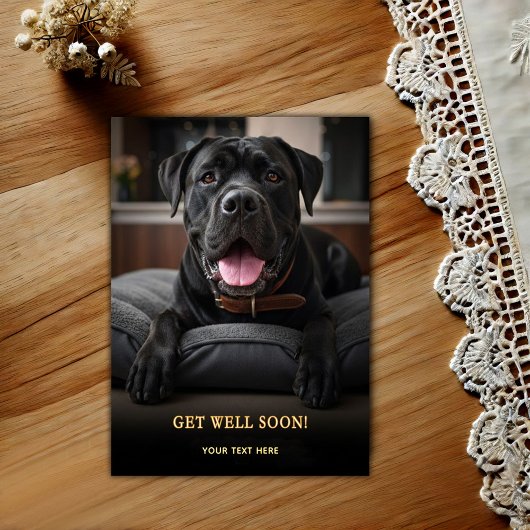 Aardige Cane Corso Beterschap Briefkaart