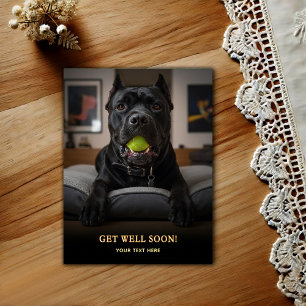 Aardige Cane Corso Beterschap Briefkaart