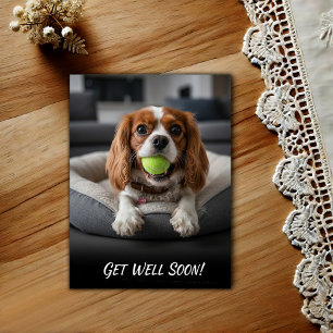 Aardige Cavalier King Charles Spaniel Word gauw be Briefkaart
