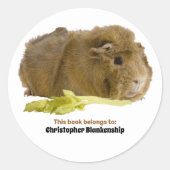 Aardige cavia die selderij eet Fotografie Ronde Sticker (Voorkant)