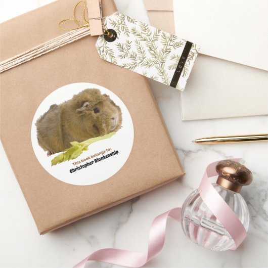 Aardige cavia die selderij eet Fotografie Ronde Sticker (Geschenken)