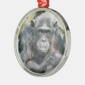 AARDIGE CHIMPANSEES METALEN ORNAMENT (Links)