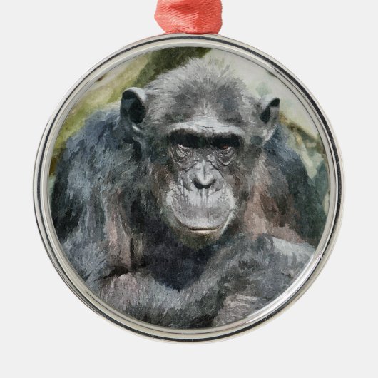 AARDIGE CHIMPANSEES METALEN ORNAMENT (Voorkant)