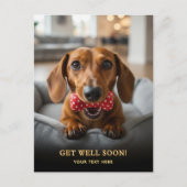 Aardige Dachshund Beterschap Ansichtkaart  Briefkaart (Voorkant)