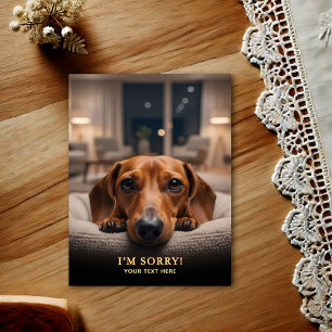 Aardige Dachshund Het Spijt Me Ansichtkaart Briefkaart