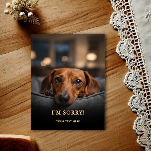 Aardige Dachshund Het Spijt Me Postkaart