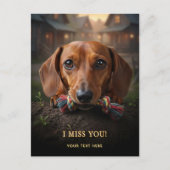 Aardige Dachshund Ik Mis Je Postkaart (Voorkant)