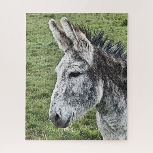 AARDIGE EZEL  LEGPUZZEL (Verticaal)