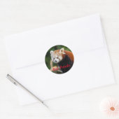 Aardige foto van een rode panda ronde sticker (Envelop)