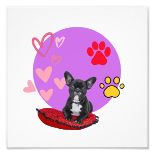 Aardige Franse puppy met harten Foto Afdruk