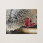 Aardige Frizzle Haan Legpuzzel (Horizontaal)