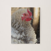 Aardige Frizzle Haan Legpuzzel (Verticaal)