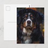 Aardige Halloween Berner Sennenhond Briefkaart (Voorkant / Achterkant)