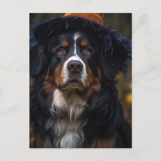 Aardige Halloween Berner Sennenhond Briefkaart (Voorkant)