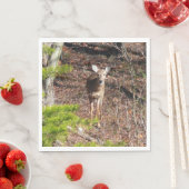 Aardige herten in het bos Natuurfotografie Servet (Insitu)