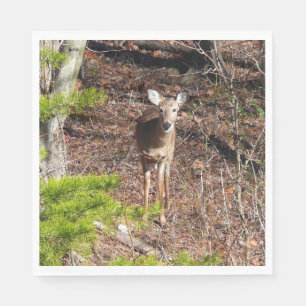 Aardige herten in het bos Natuurfotografie Servet