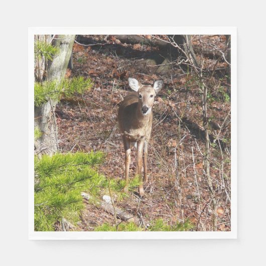 Aardige herten in het bos Natuurfotografie Servet (Voorkant)
