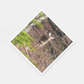 Aardige herten in het bos Natuurfotografie Servet (Hoek)