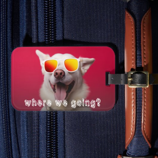 Aardige Hond Foto Bagagelabel (Voorkant Insitu 4)