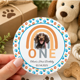 Aardige Hond Regenboog Waterverf 1e Verjaardagsfee Ronde Sticker