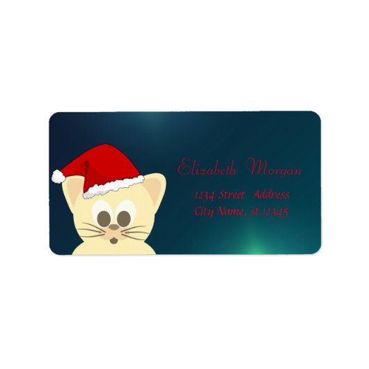 Aardige kat met kerstmanhoed, groen etiket (Voorkant)
