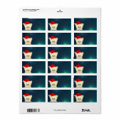 Aardige kat met kerstmanhoed, groen etiket (Full Sheet)