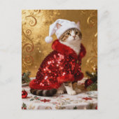 Aardige Kerstkat Ansichtkaart Briefkaart (Voorkant)