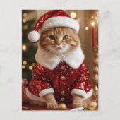 Aardige Kerstkat in Kerstmannenpak Postkaart (Voorkant)