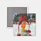 Aardige Kerstmagneet met Kip! Magneet (Voorkant / Achterkant)