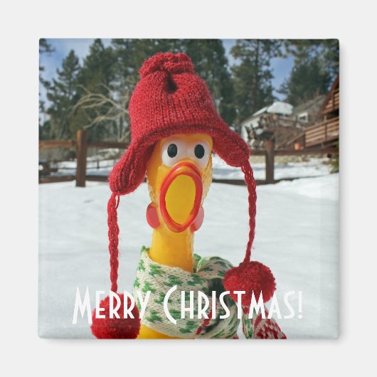Aardige Kerstmagneet met Kip! Magneet (Voorkant)