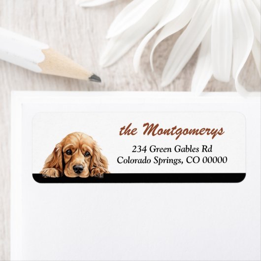 Aardige Kijkende Cocker Spaniel Hond Retouradres Etiket (Insitu)
