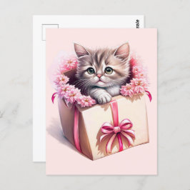 Aardige Kitten in een Doos Verjaardagscadeau Briefkaart