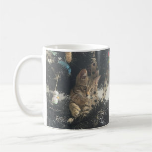 Aardige Kitten Kat Huisdier Foto Naam  Koffiemok
