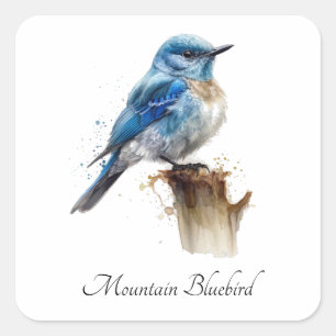 Aardige Kleine Bergblauwe Vogel Waterverf, op maat Vierkante Sticker