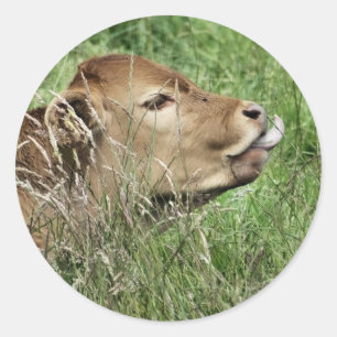 AARDIGE KOe Ronde Sticker