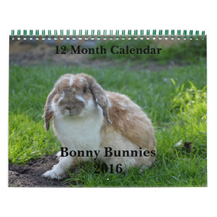 Aardige Konijntjes de Kalender 2016 van 12 Maand