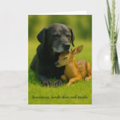 Aardige Labradordhond en Ree Kartje ter Bemoedigin Kaart (Voorkant)