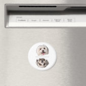 Aardige Maltezer Hond Afwasmachine Schoon/Vuile Ma Magneet (Insitu (Vaatwasser))
