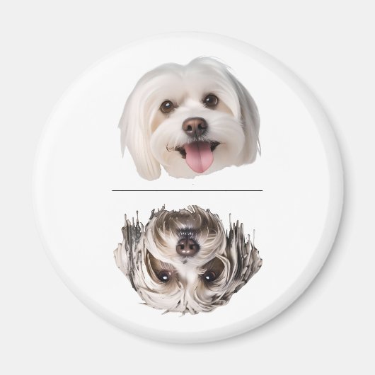 Aardige Maltezer Hond Afwasmachine Schoon/Vuile Ma Magneet (Voorkant)