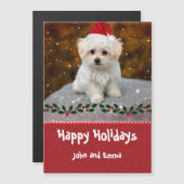 Aardige Maltezer Puppy Kerst Sjabloon (Voorkant / Achterkant)