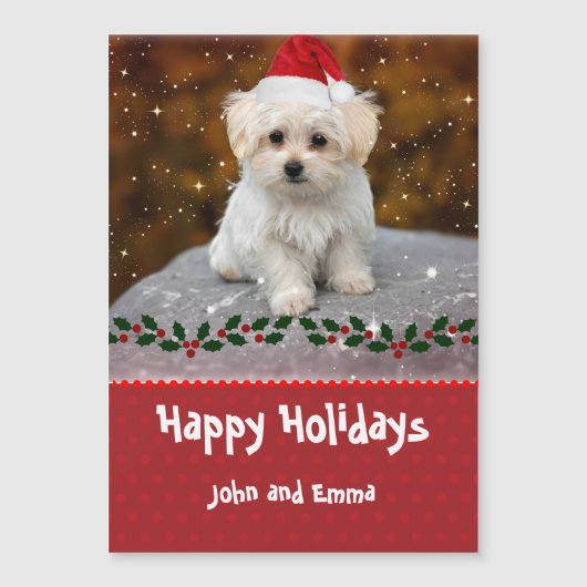 Aardige Maltezer Puppy Kerst Sjabloon (Voorkant)