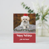 Aardige Maltezer Puppy Sjabloon Kerstkaart (Staand voorkant)