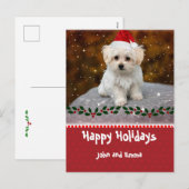 Aardige Maltezer Puppy Sjabloon Kerstkaart (Voorkant / Achterkant)