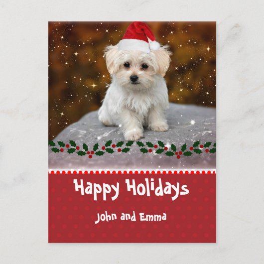 Aardige Maltezer Puppy Sjabloon Kerstkaart (Voorkant)